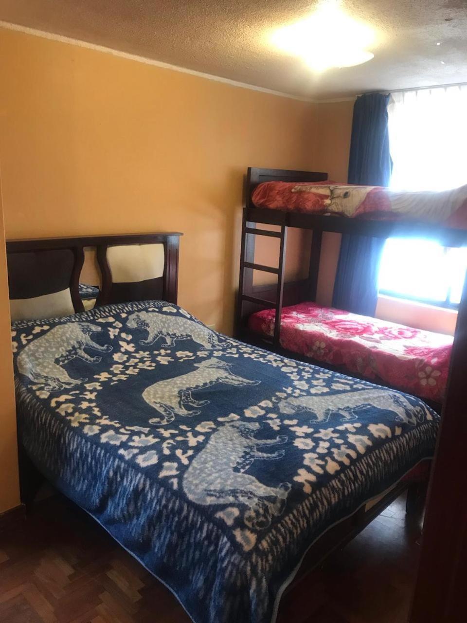 Hostel Tierra De Fuego لاتاكونغا المظهر الخارجي الصورة